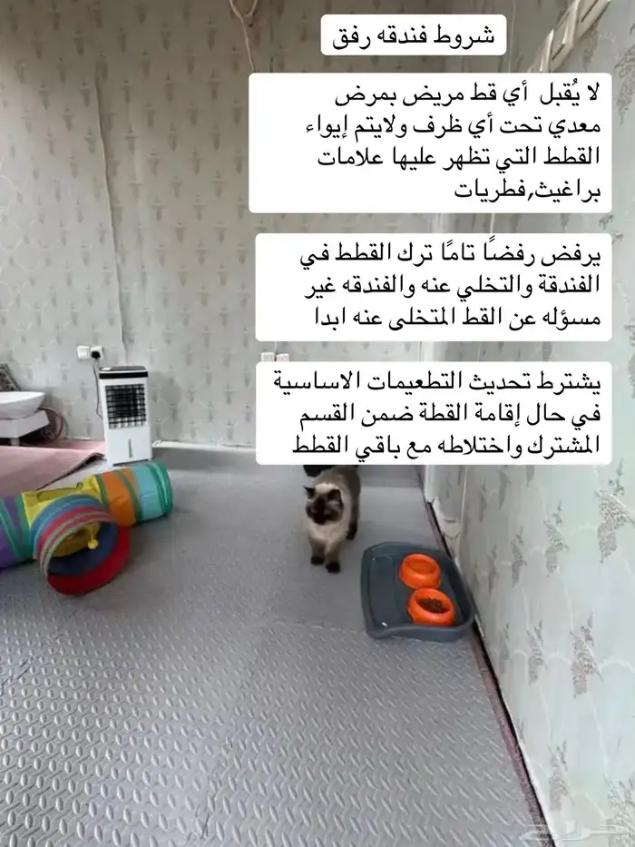 فندقة قطط في الدمام 2