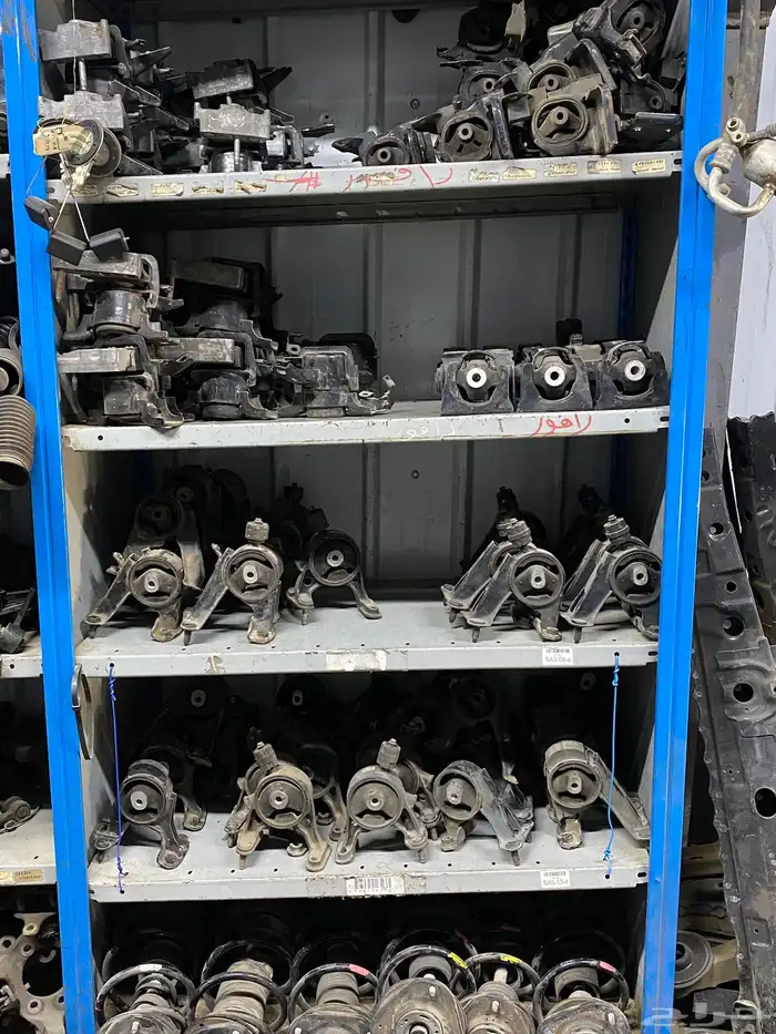 قطع عضلات رافور 6