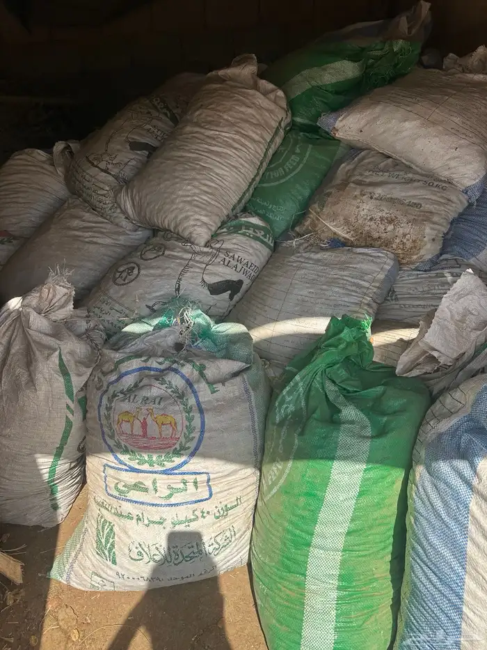 تمر علف للبيع 0