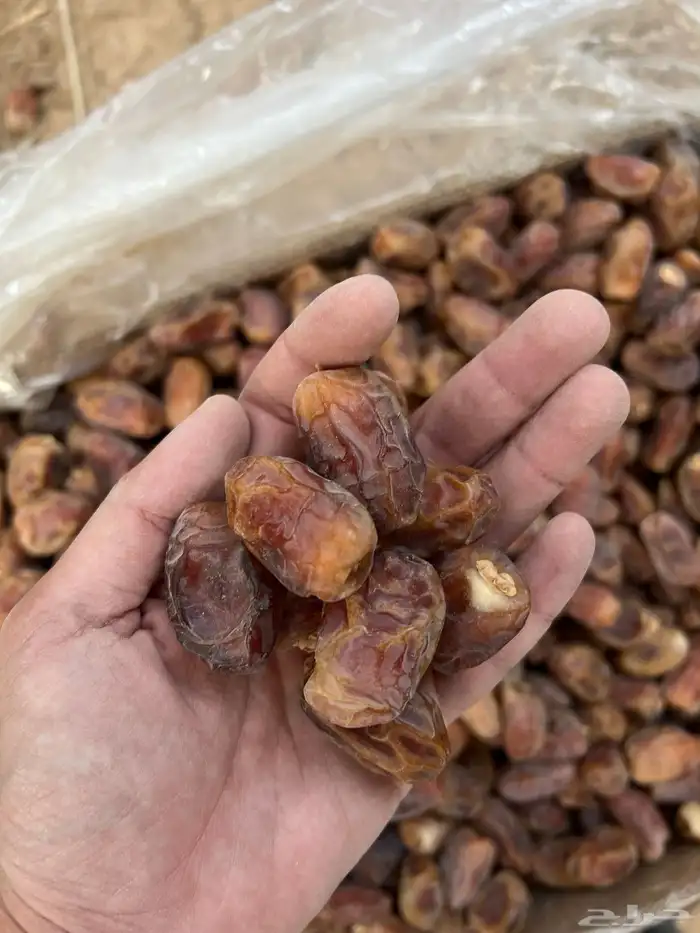 للبيع تمر خلاص و منيفي فاخر للبيع 4