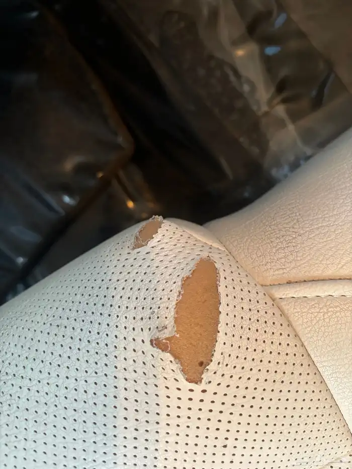 مقاعد مازدا 6 2014 تركب لين 2018 2