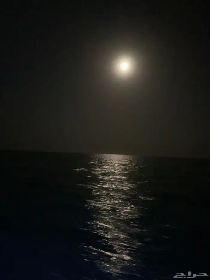 رحلات صيد ونزهه 0