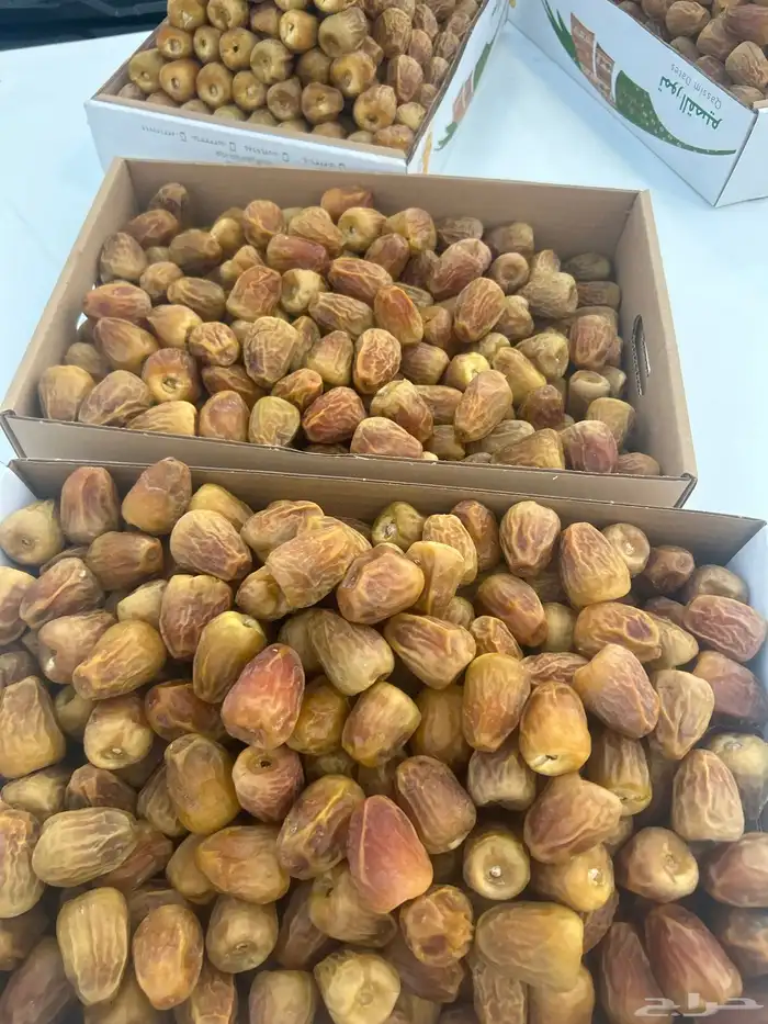 أفخر تمور القصيم ملكي 17