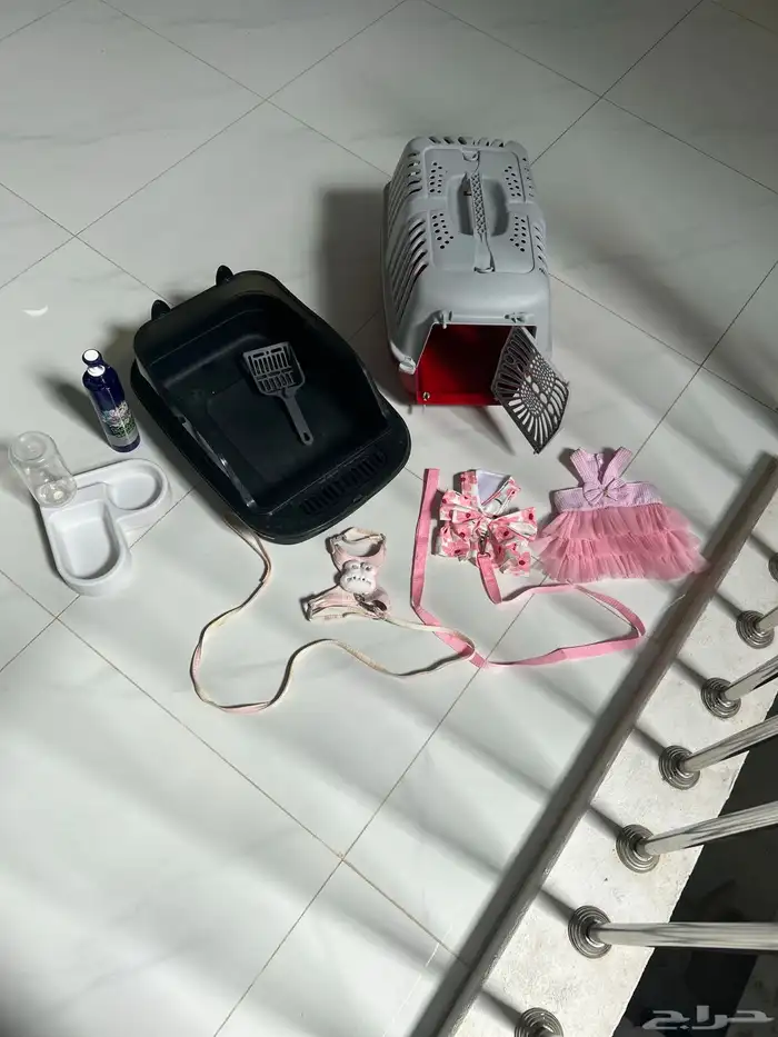 مستلزمات قطط 8
