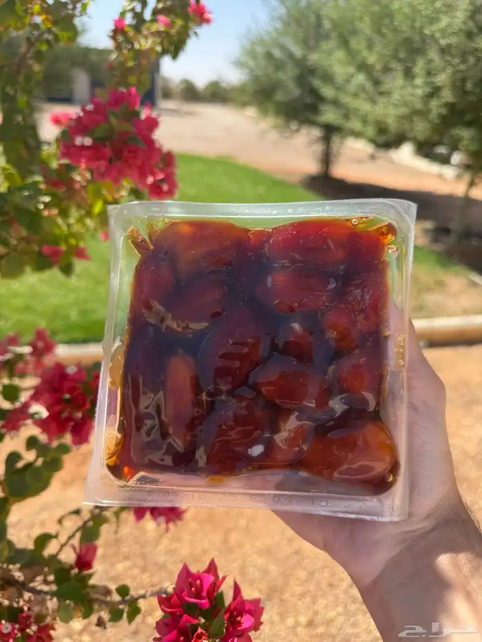 تمر خلاص اشيقر 6