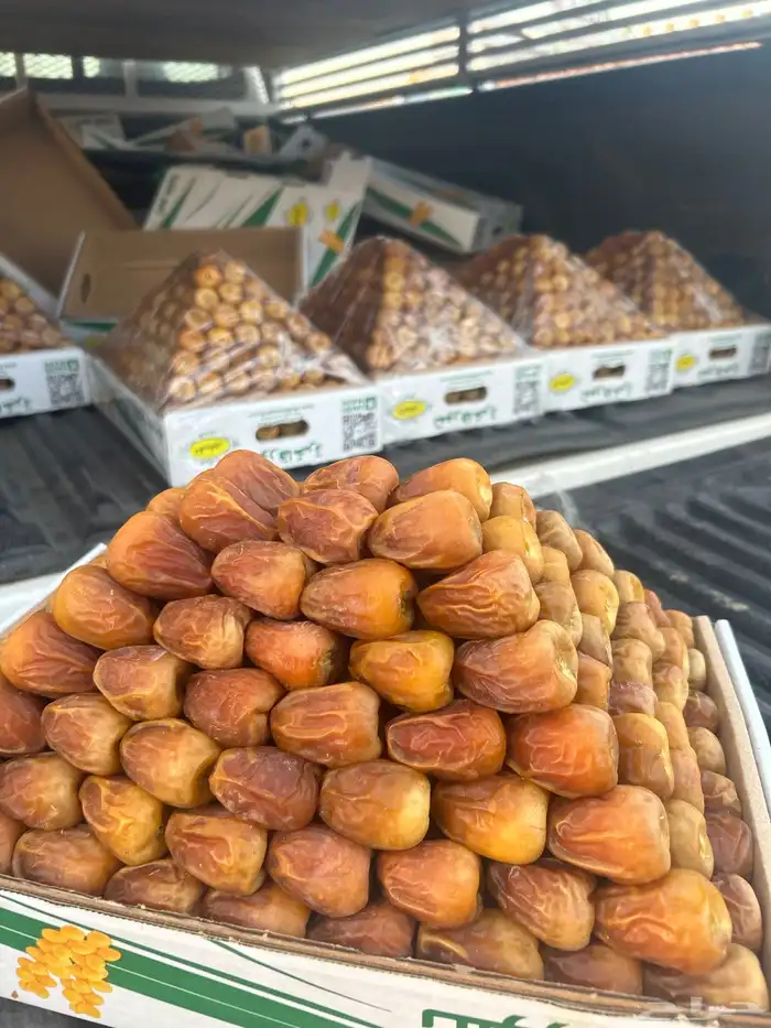 أفخر تمور القصيم ملكي 6