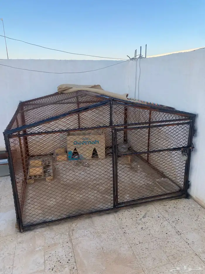 شبك 2 في 3 يصلح طيور أغنام 0