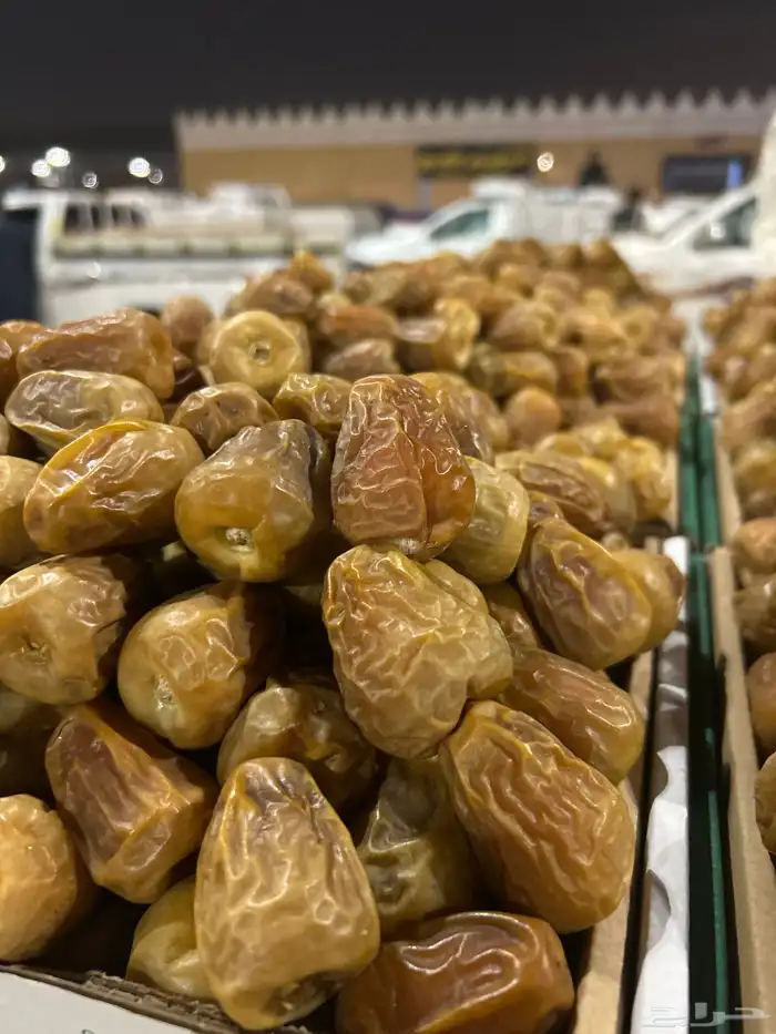 أفخر تمور القصيم ملكي 15