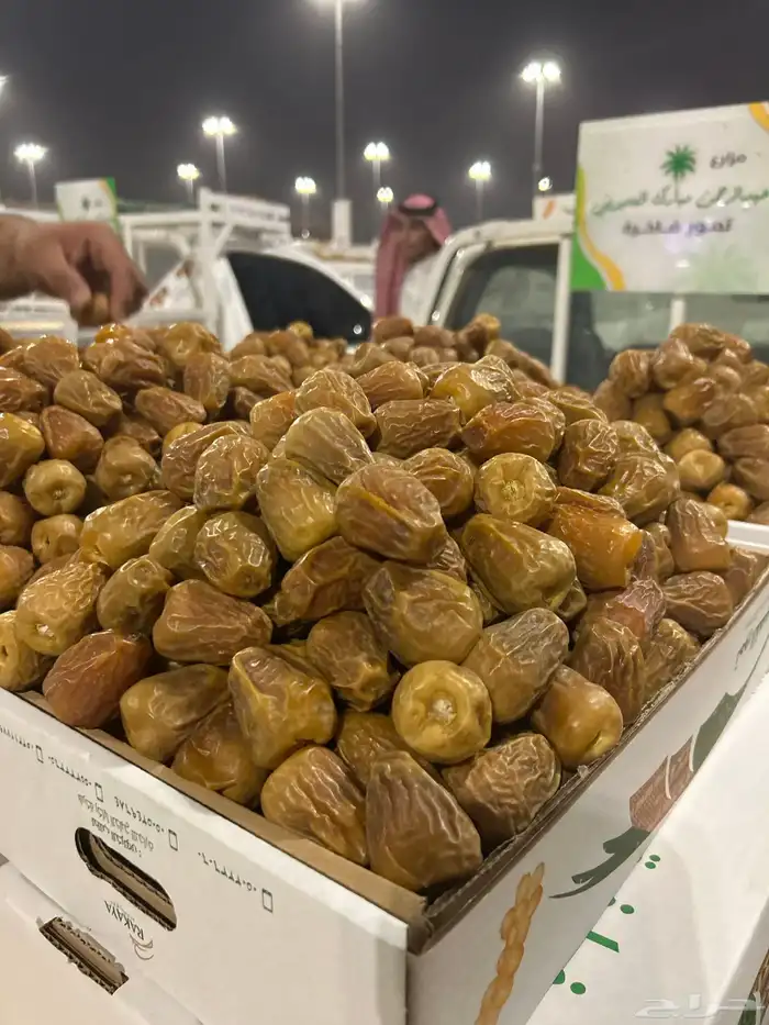 أفخر تمور القصيم ملكي 12
