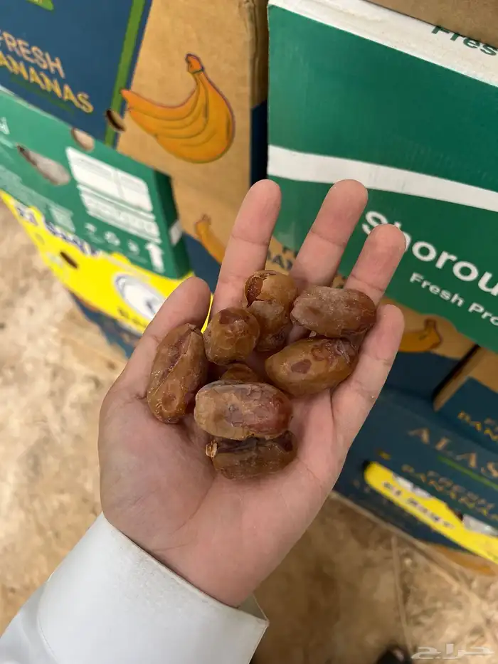 للبيع تمر خلاص و منيفي فاخر للبيع 2