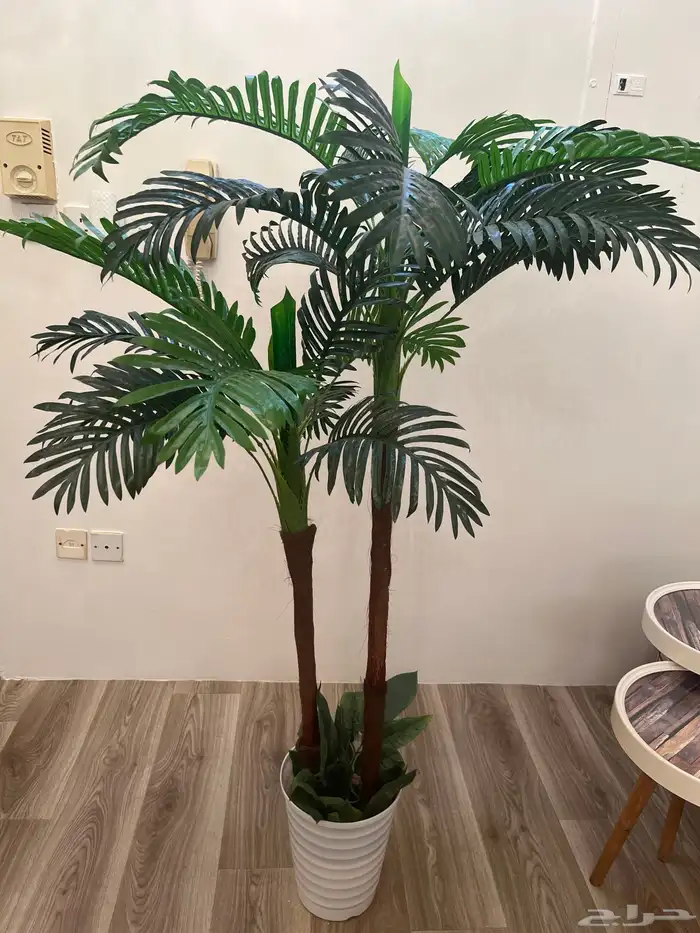 كماليات أثاث تحف 2