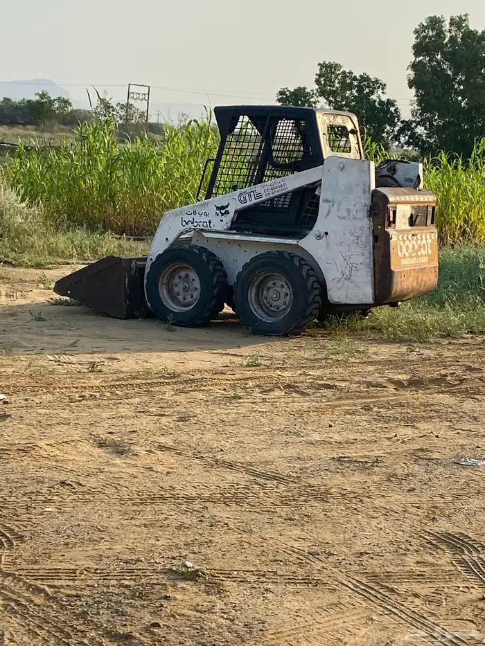 بوبكات ابوبس 753 0