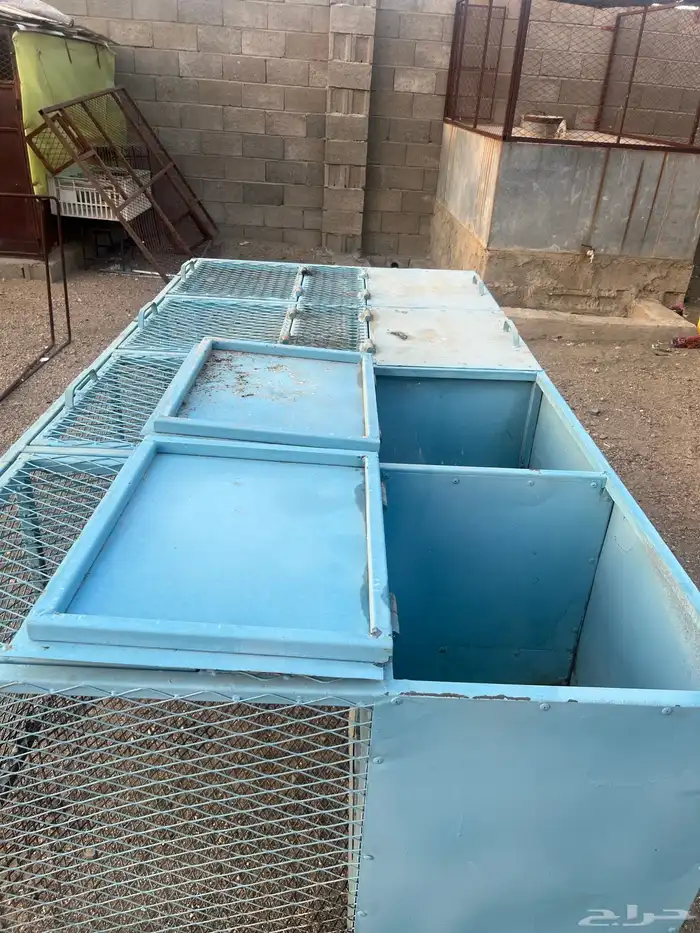 بطاريات ارانب 2