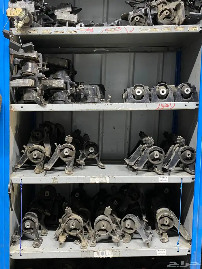 قطع عضلات رافور 5