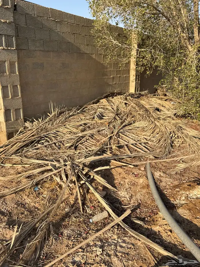 مجموعة اغراض 22