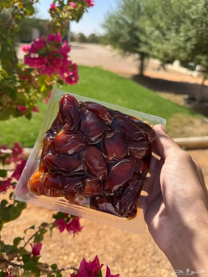 تمر خلاص اشيقر 7