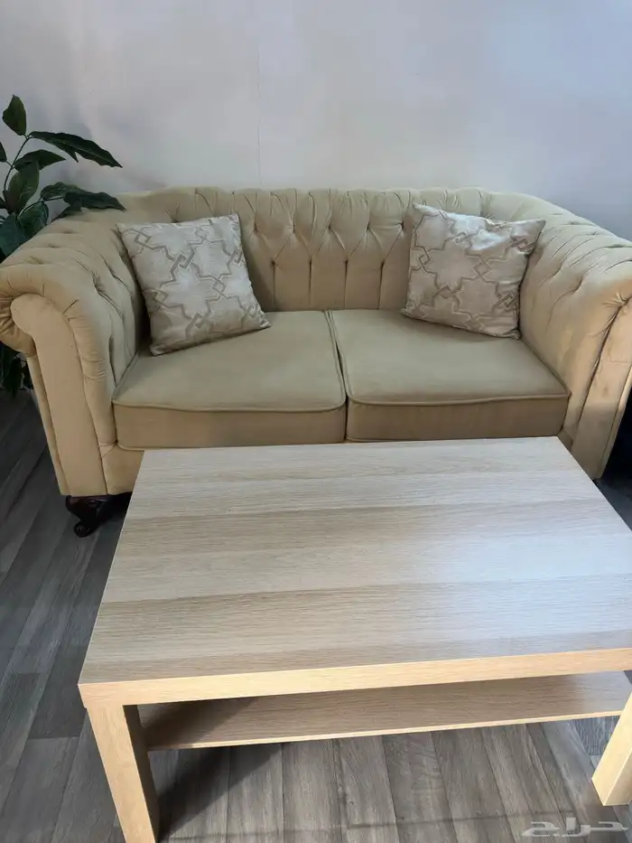 كنب شخصين وطاولة وشجرة 1