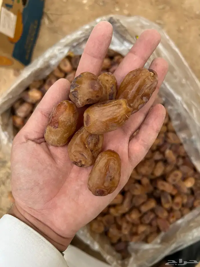 للبيع تمر خلاص و منيفي فاخر للبيع 3