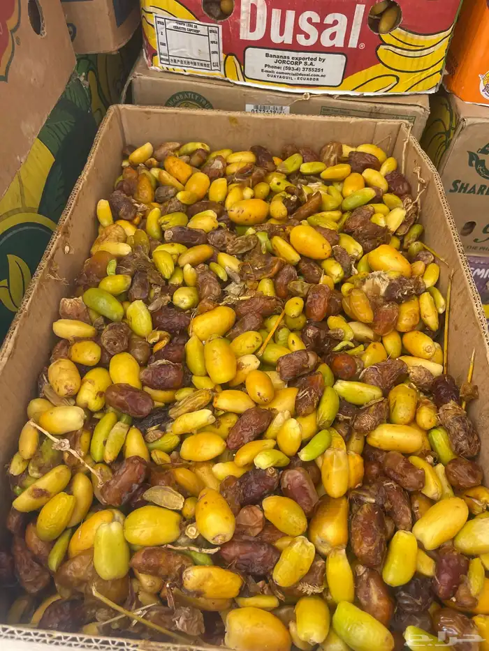 تمر علف البيع 0