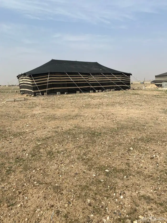 بيت شعر آصلي 12x6 نظيف 3عامود 1