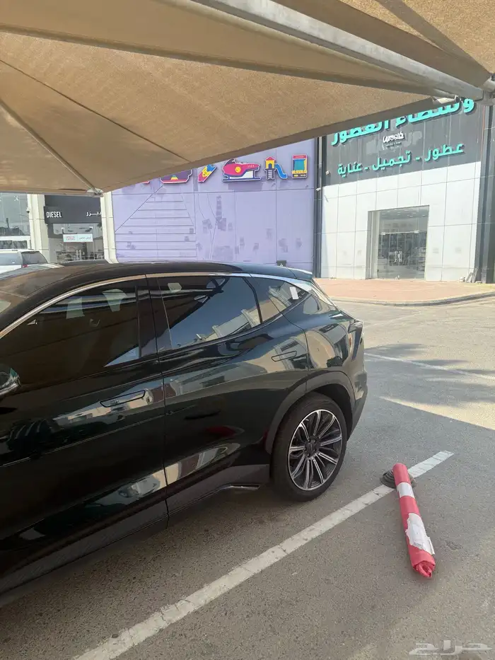 للتنازل  يتور 2024 3