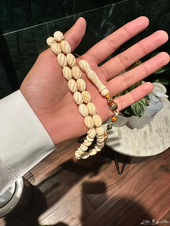 مسباح تراب كهرب بولندي 1