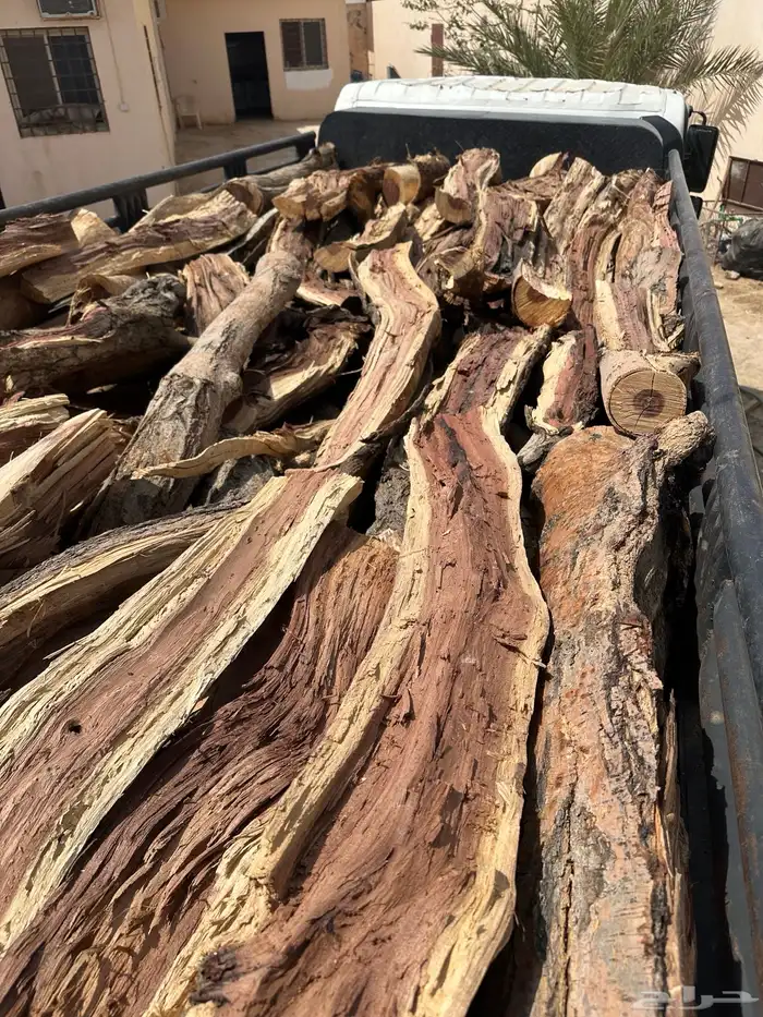 دينه للبيع ش ل ي خ ل 12