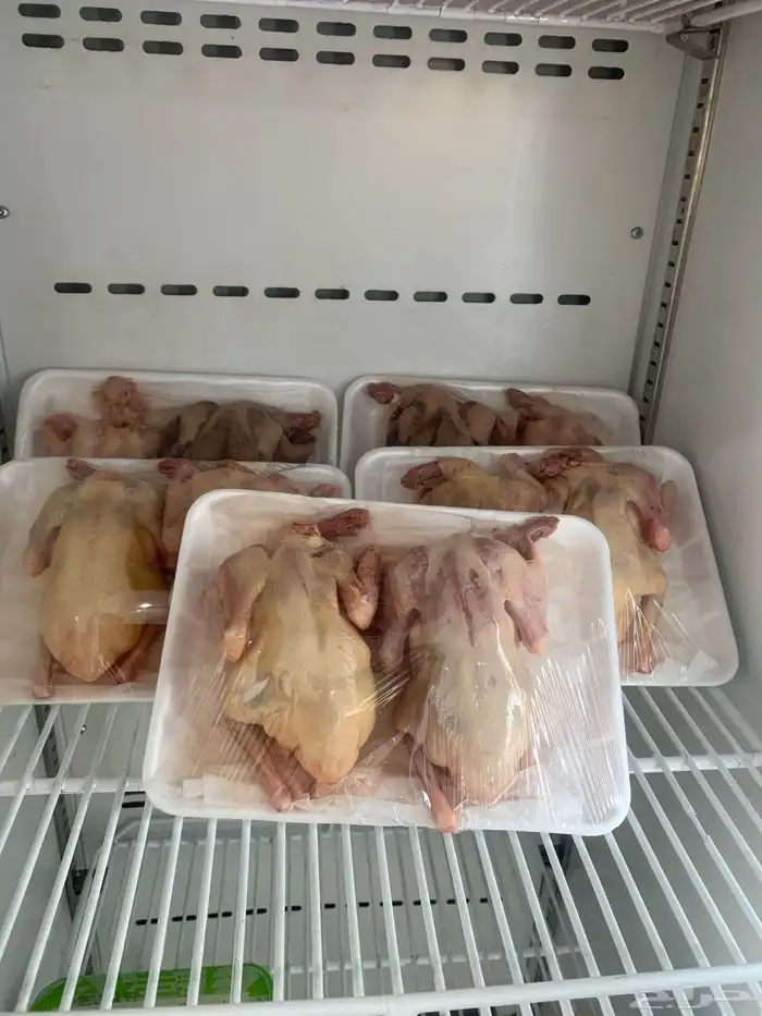 حمام فرنسي 0