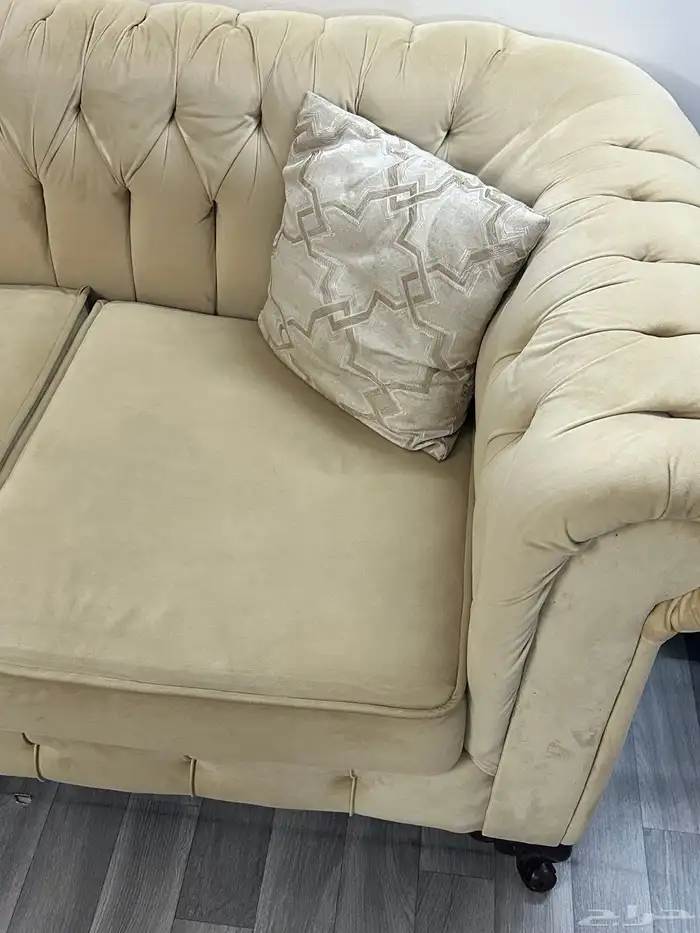 كنب شخصين وطاولة وشجرة 2