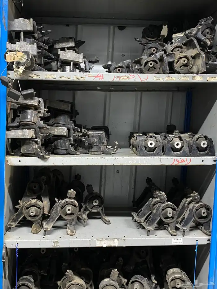 قطع عضلات رافور 4