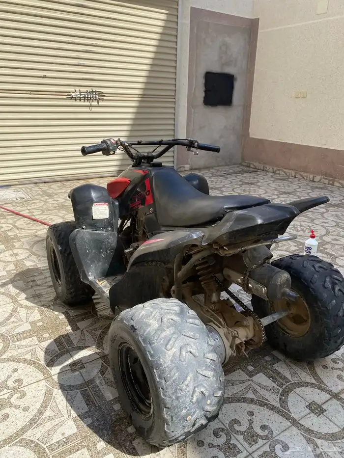 دباب وسيط للبيع على السوم حجم 100 0