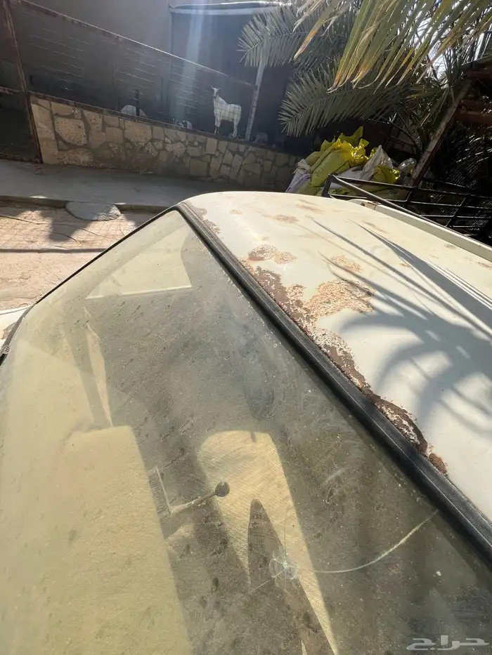 ايسوزو قديم بكب ونيت 13