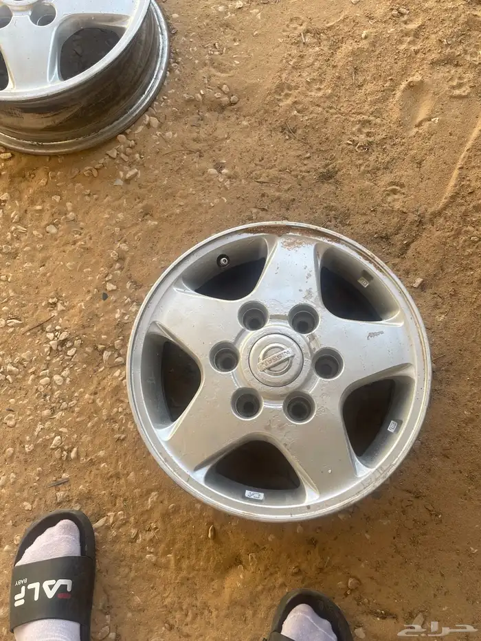 جنوط نجمه وكالة 0