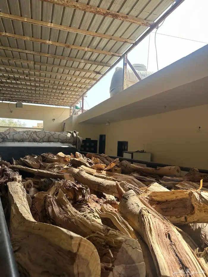 دينه للبيع ش ل ي خ ل 11