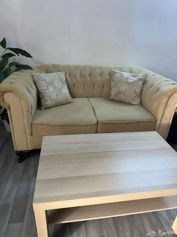 كنب شخصين وطاولة وشجرة 0