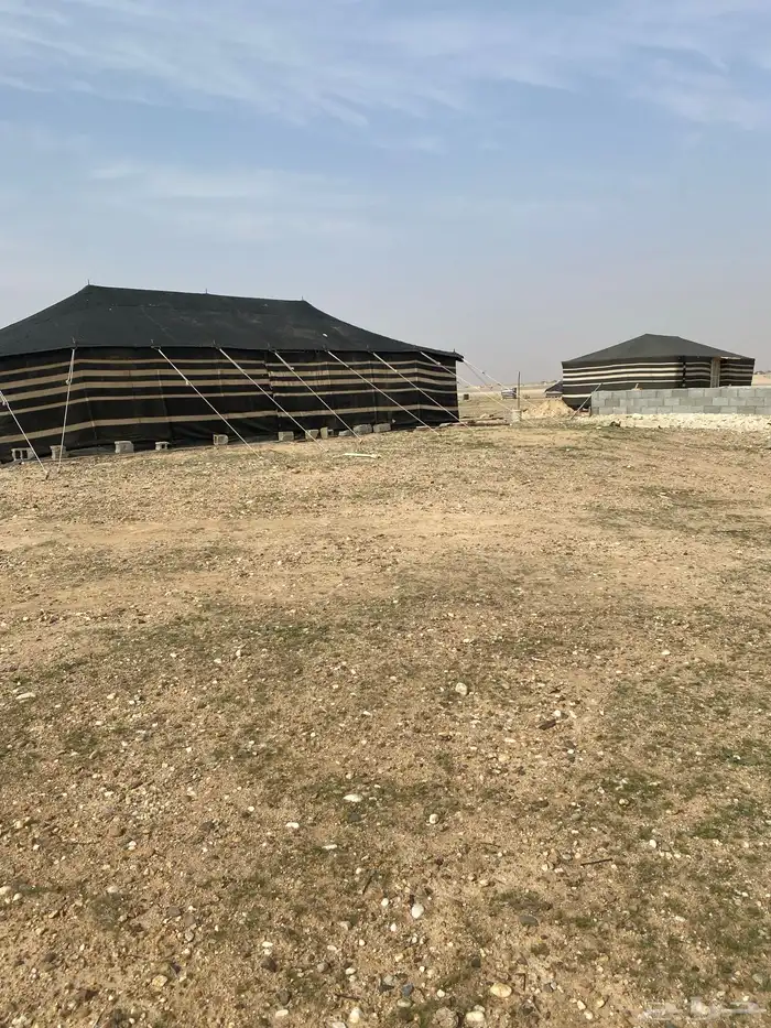 بيت شعر آصلي 12x6 نظيف 3عامود 2