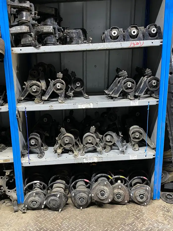 قطع عضلات رافور 7