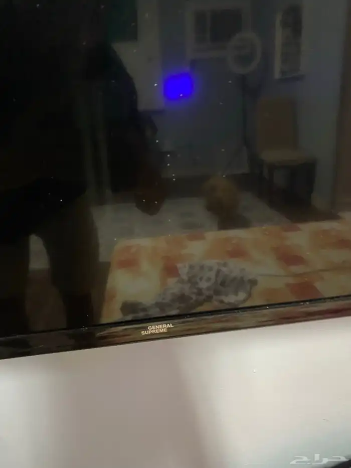 شاشة تلفاز 2