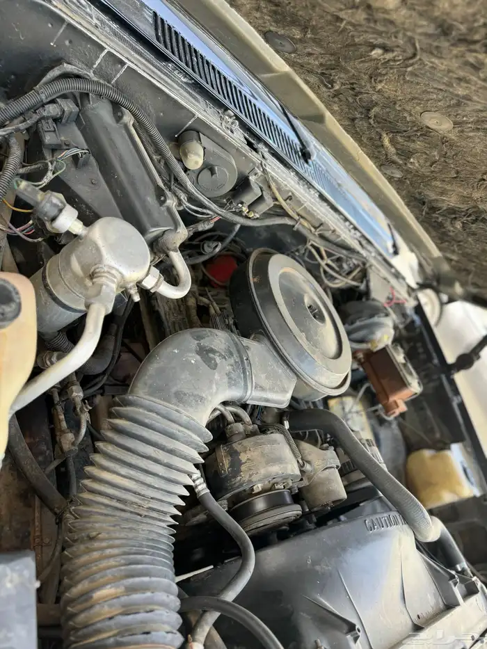 سوبربان 1989 دبل صنف الصنف 50