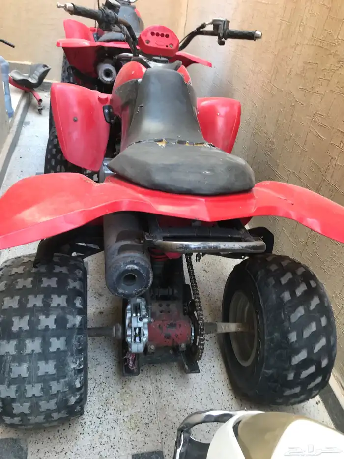 دباب للبيع 250 الشرط 7