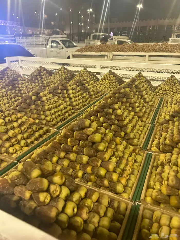 أفخر تمور القصيم ملكي 20