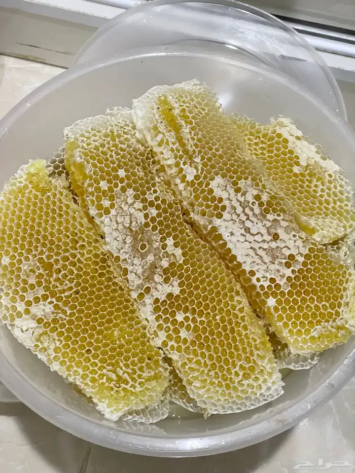 عسل السنة سدر الصحن 500 الجملة ما نختلف 0