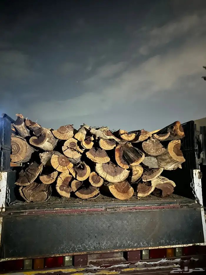 دينه للبيع ش ل ي خ ل 14