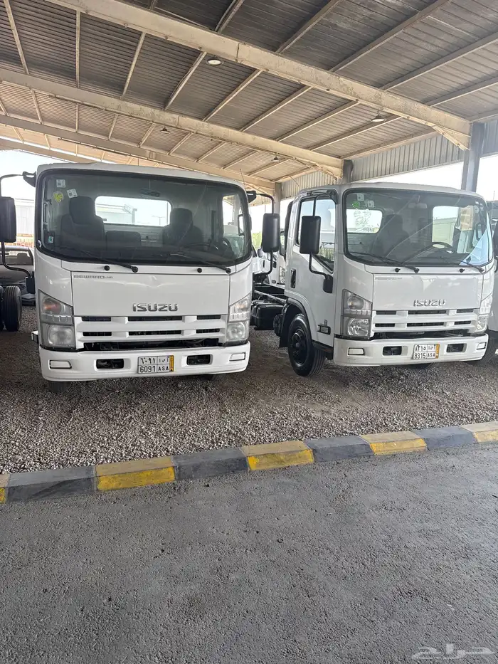 ايسوزو دينه للبيع 4 دينات مكينه عادي 1