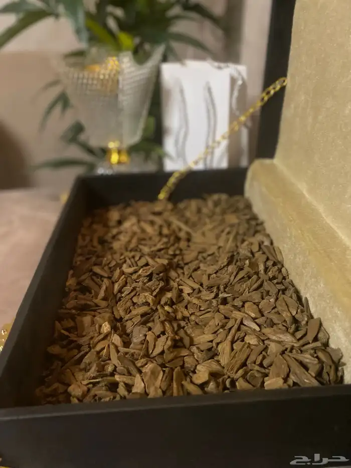 عود موروكي طبيعي فاخر 2