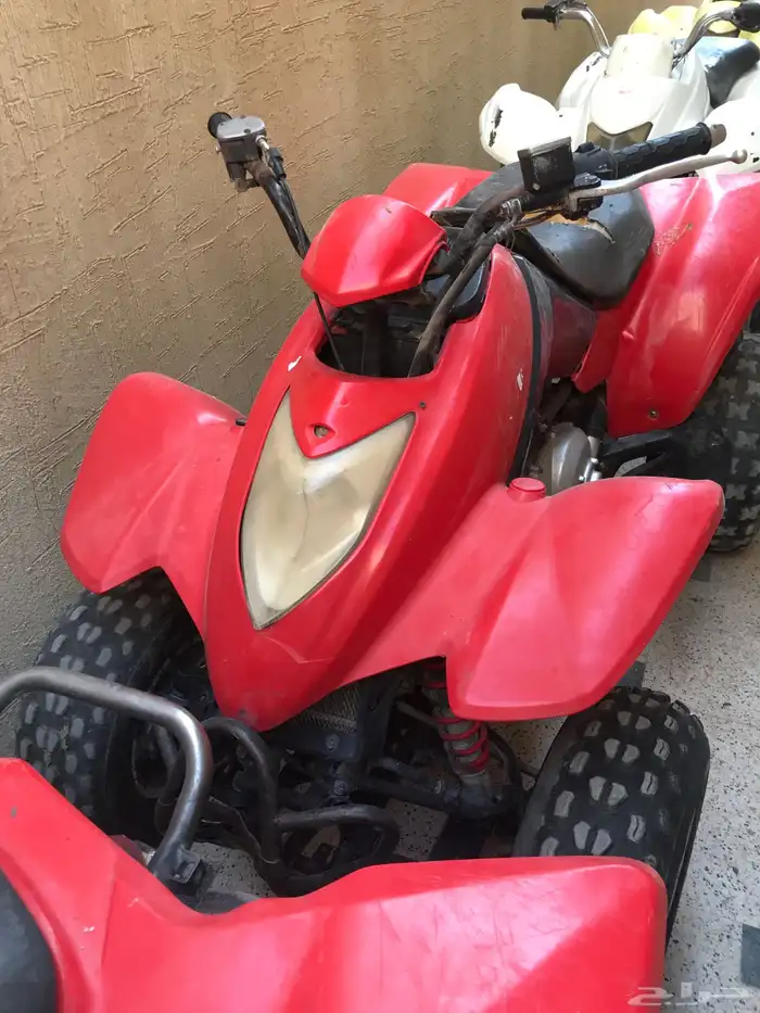 دباب للبيع 250 الشرط 6