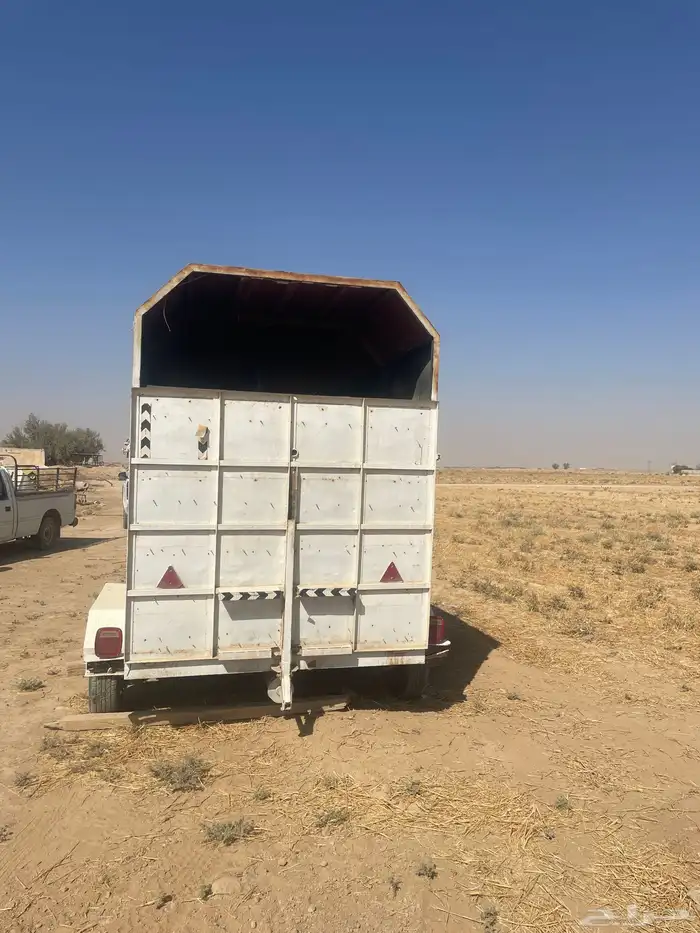 عربة خيل راسين للبيع 2
