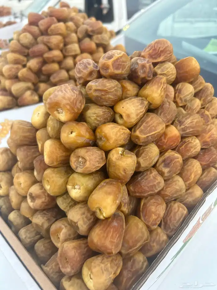 أفخر تمور القصيم ملكي 18