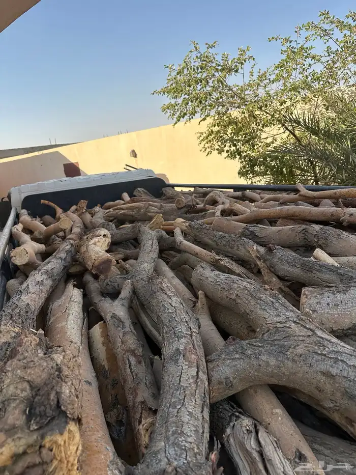 دينه للبيع ش ل ي خ ل 0