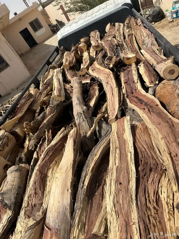 دينه للبيع ش ل ي خ ل 7